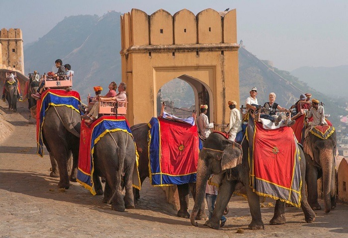 elephant-safari-amer-fort-jaipur